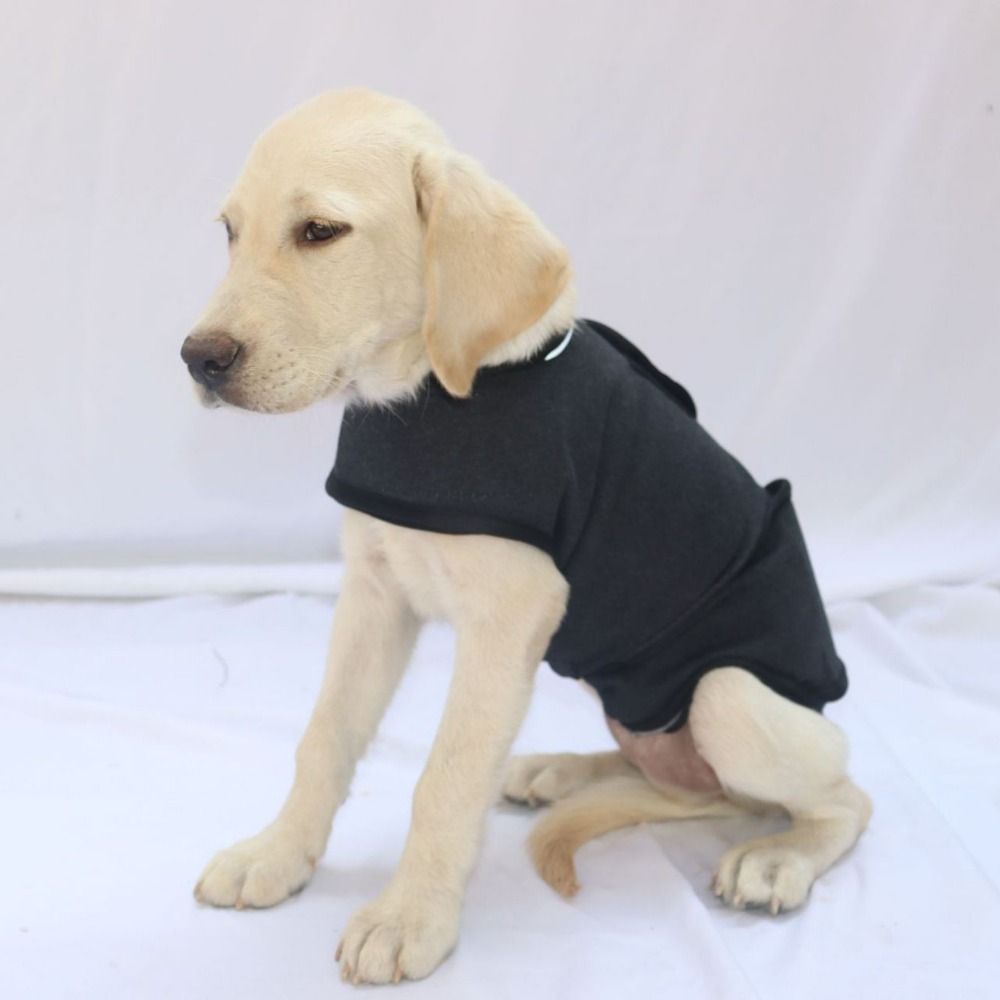 Dog Anxiety Vest - Pet Warm Vest Breathable Dog Anxiety