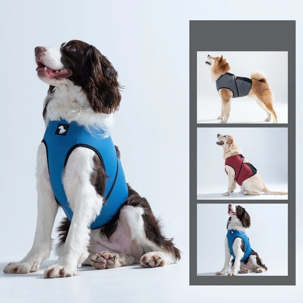 Breathable Dog Calming Vest Ad - Dog Anxiety Vest review and price
