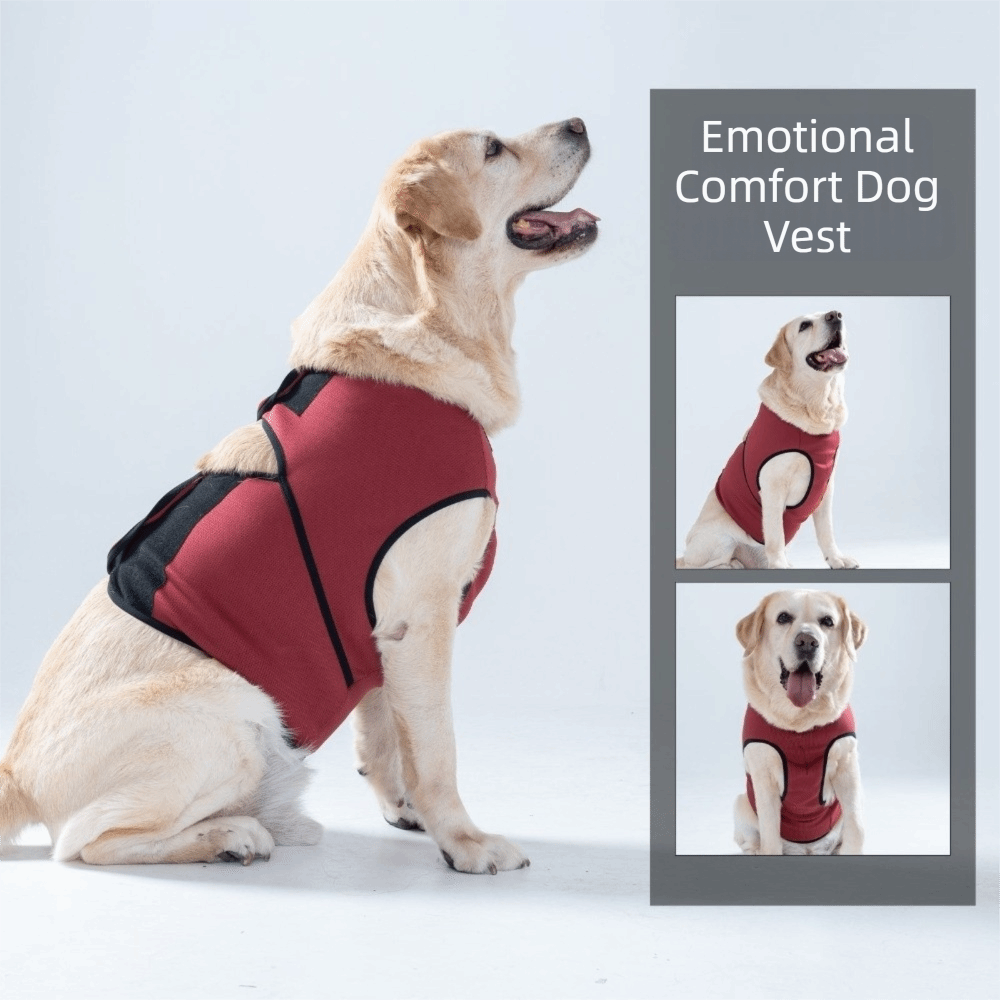 Practical Breathable Dog Calmi - Dog Anxiety Vest review and price