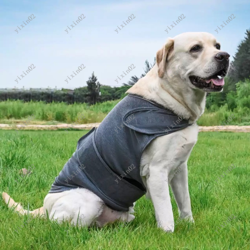Classic Breathable Dog Anxiety - Dog Anxiety Vest review and price