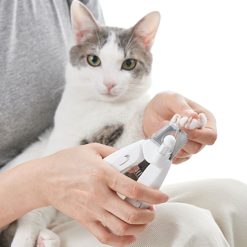 PETKIT Hair Cutting Machine Do - Pet Supplies Grooming Hours review and price