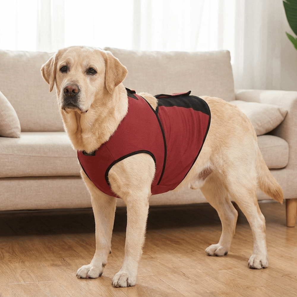 Practical Breathable Dog Calmi - Dog Anxiety Vest review and price