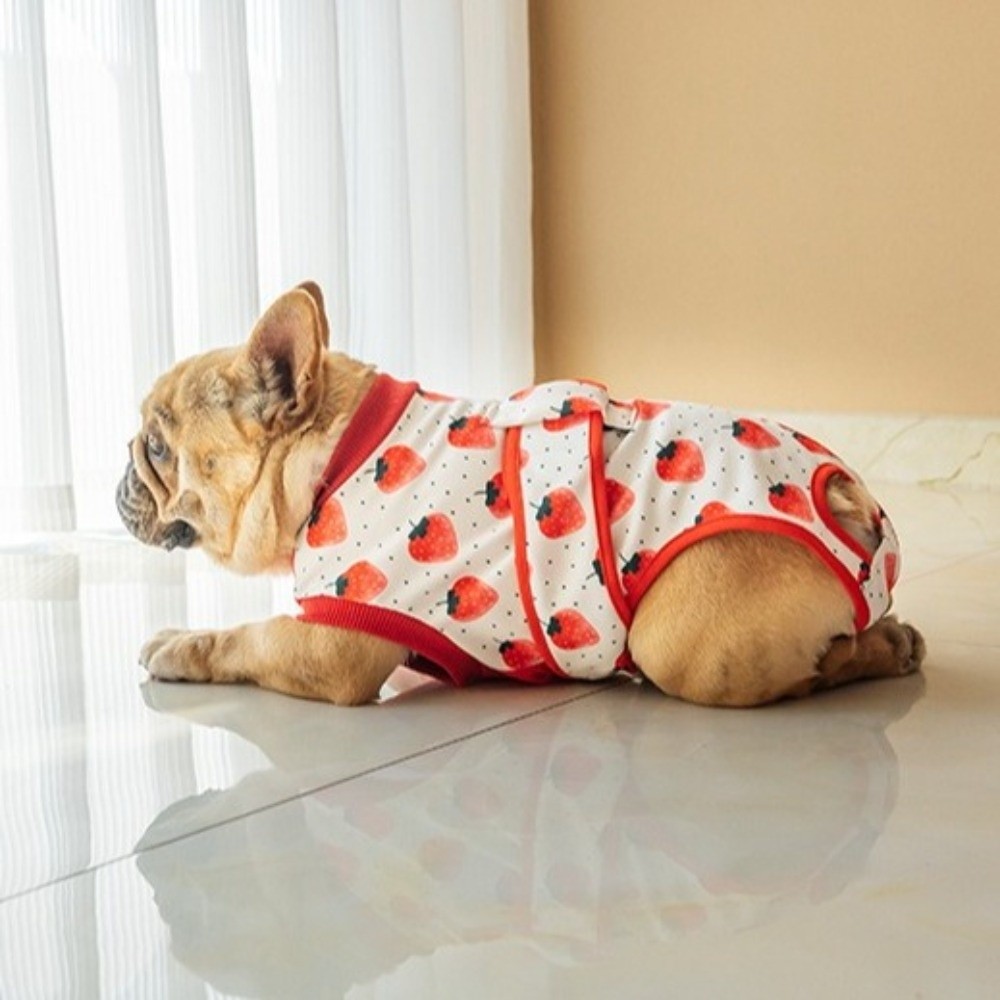 Universal Breathable Dog Recov - Dog Anxiety Vest review and price