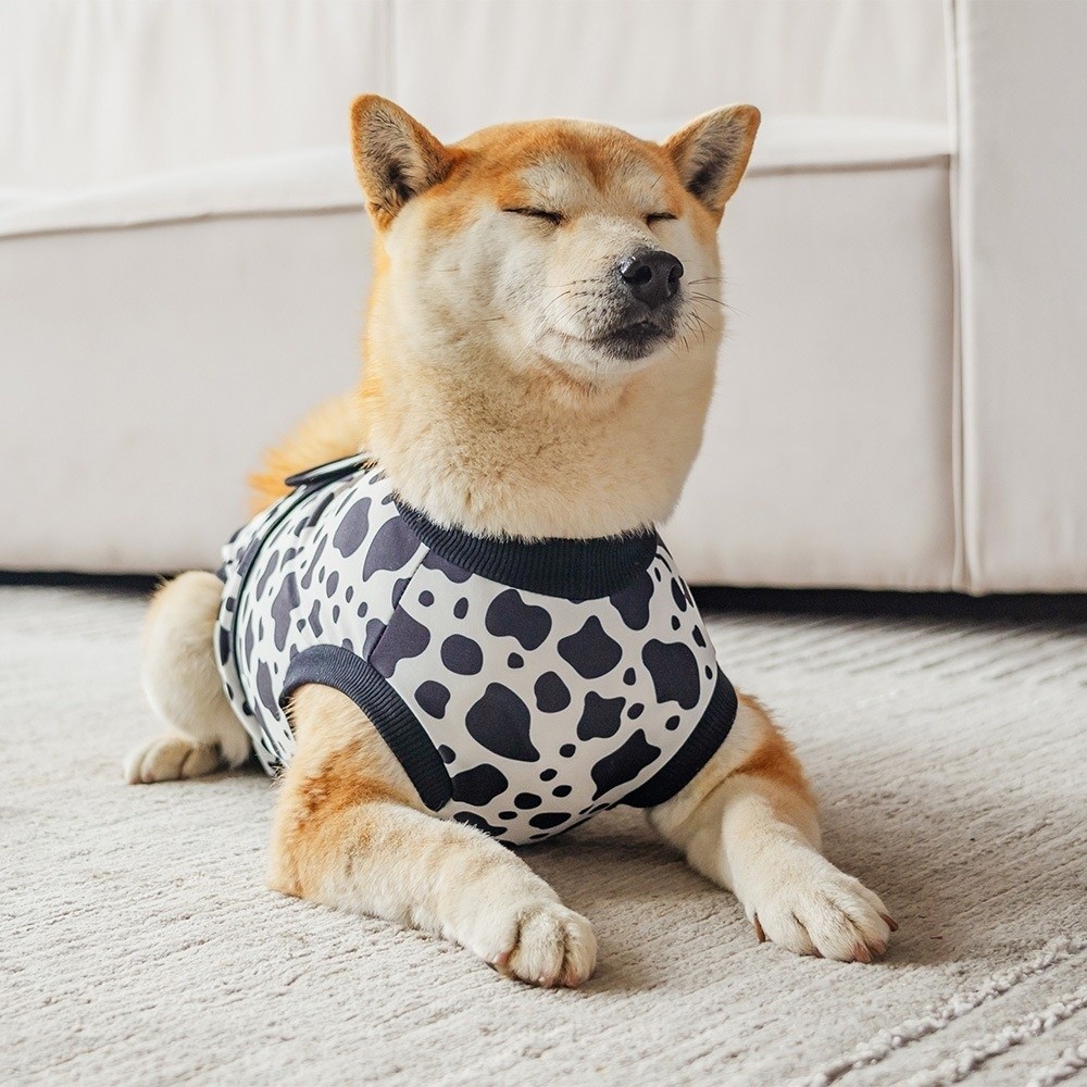 Universal Breathable Dog Recov - Dog Anxiety Vest review and price