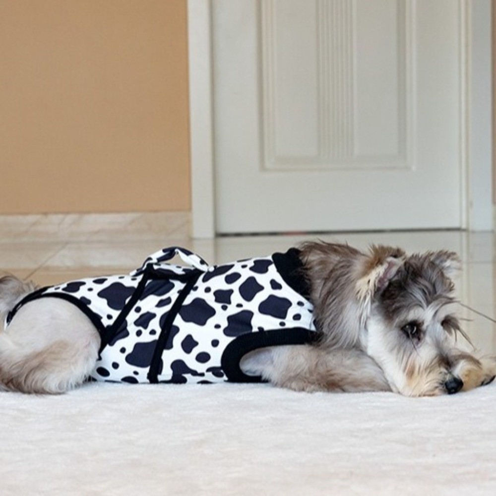 Universal Breathable Dog Recov - Dog Anxiety Vest review and price