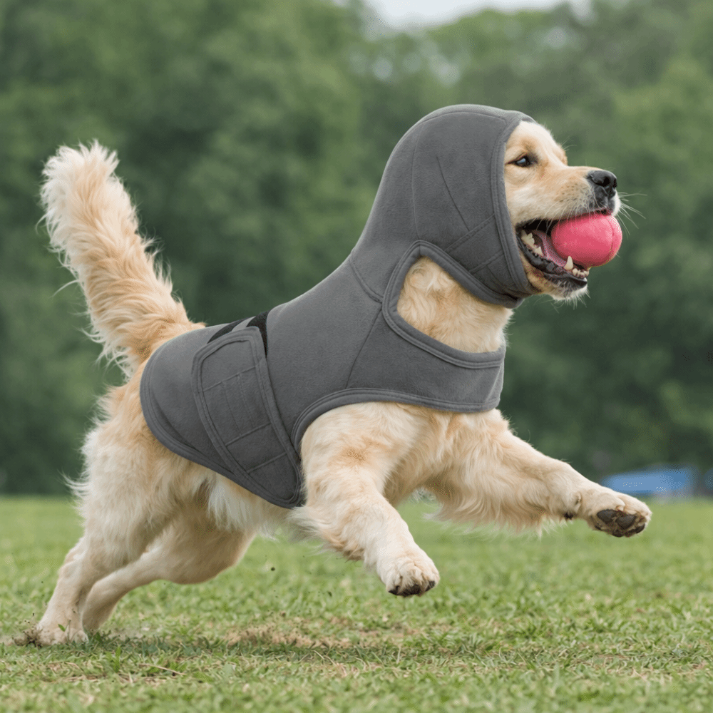 Elastic Dog Anti-Anxiety Vest  - Dog Anxiety Vest review and price