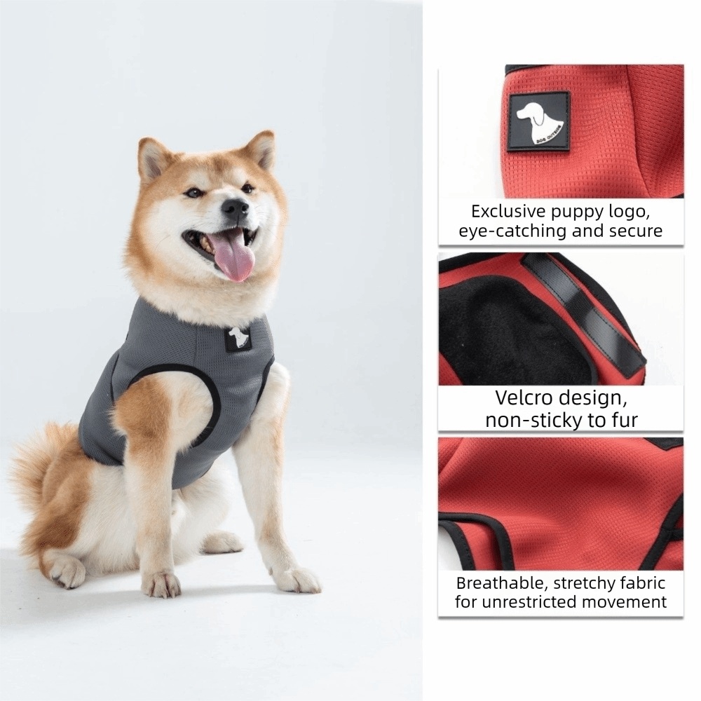 Pet Comfort Clothes Breathable - Dog Anxiety Vest review and price