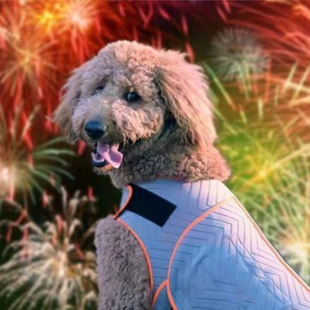 Dogs Coat Elastic Dog Anxiety  - Dog Anxiety Vest review and price