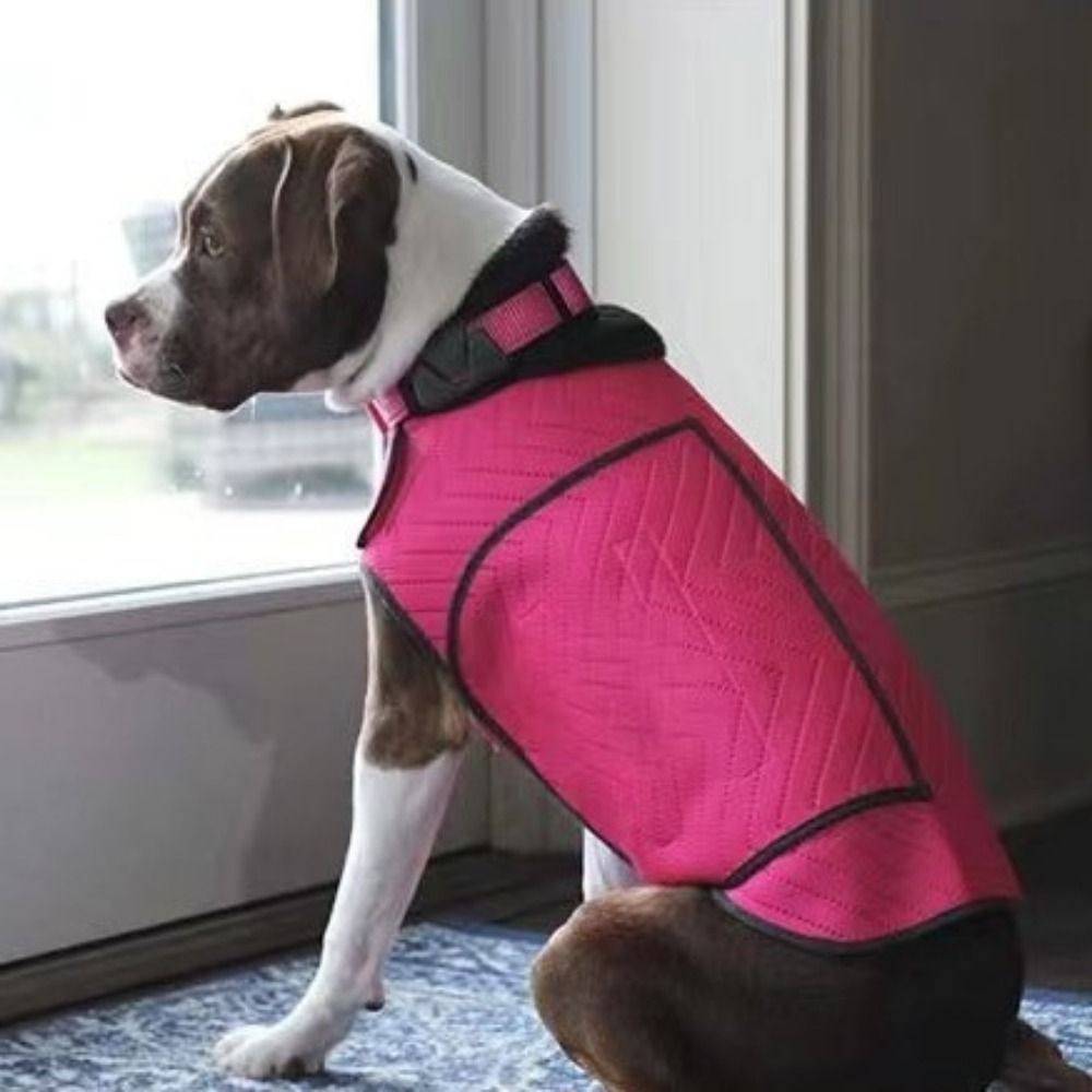 Practical Elastic Dog Anxiety  - Dog Anxiety Vest review and price