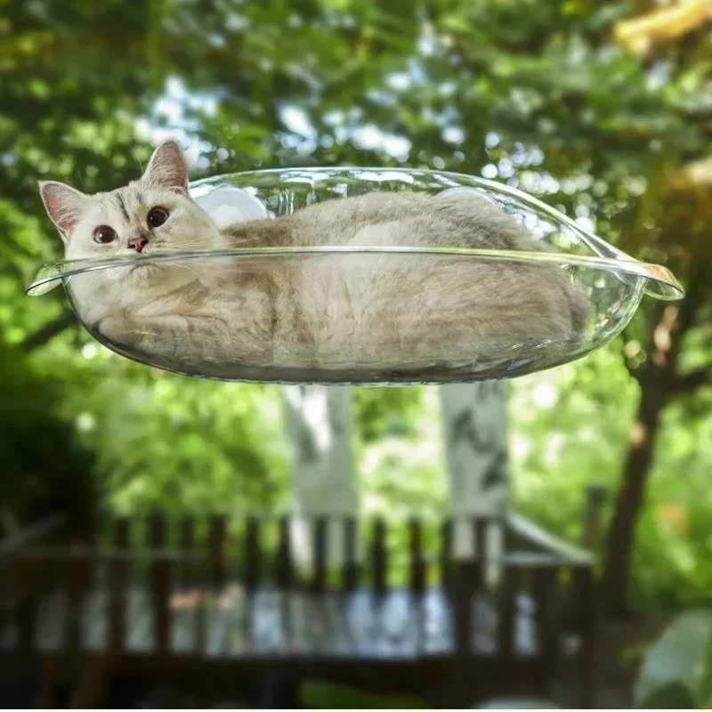 Window Bed for Cats Kitten Acc - Pet Supplies Delivery review and price