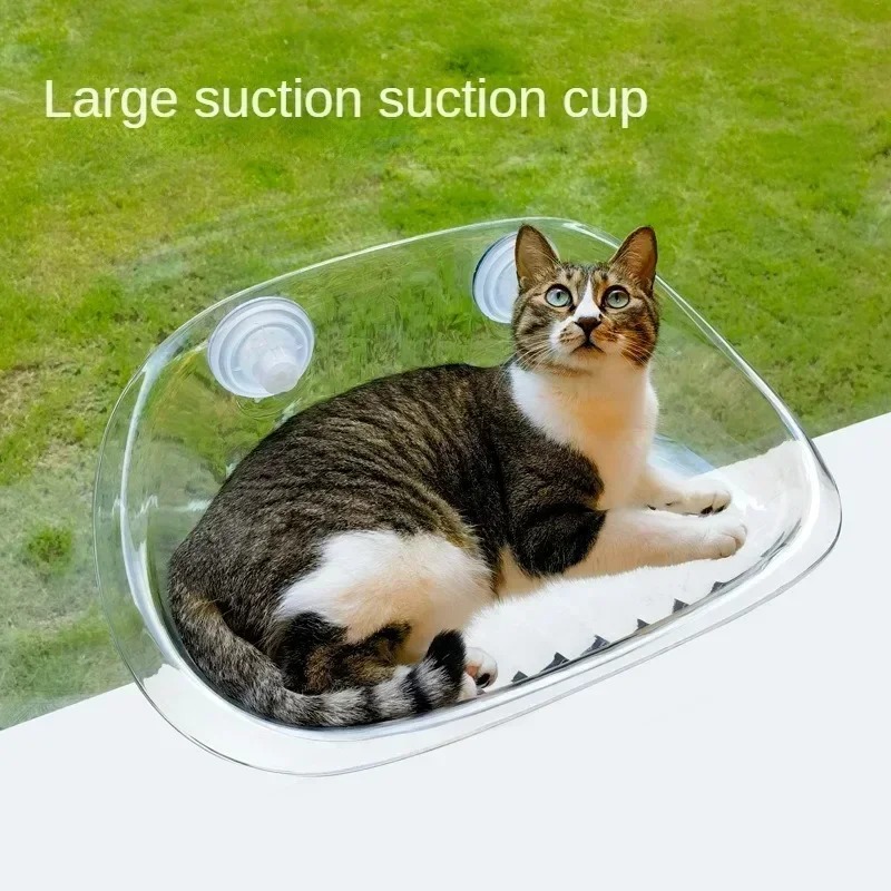 Window Bed for Cats Kitten Acc - Pet Supplies Delivery review and price
